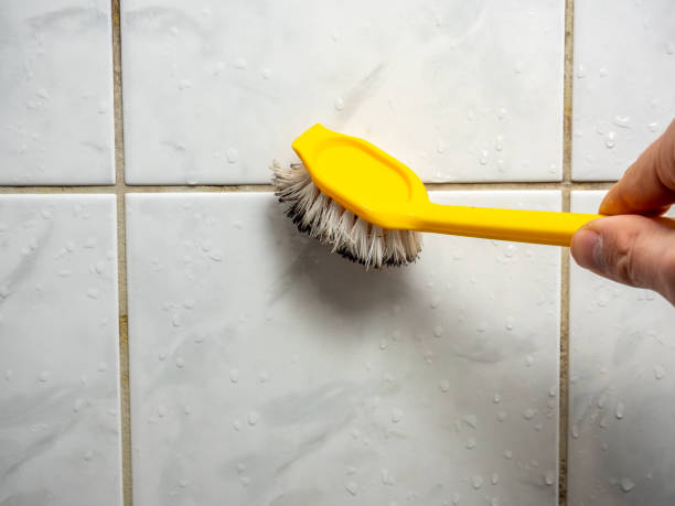 Best Residential Mold Removal  in Kenhorst, PA
