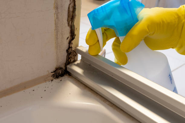Best Crawl Space Mold Removal  in Kenhorst, PA