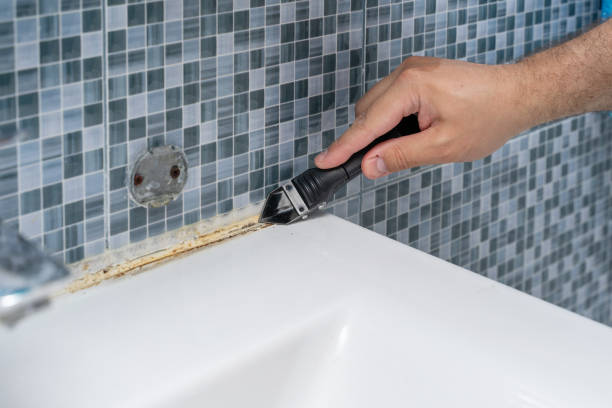 Best Best Mold Removal Companies  in Kenhorst, PA