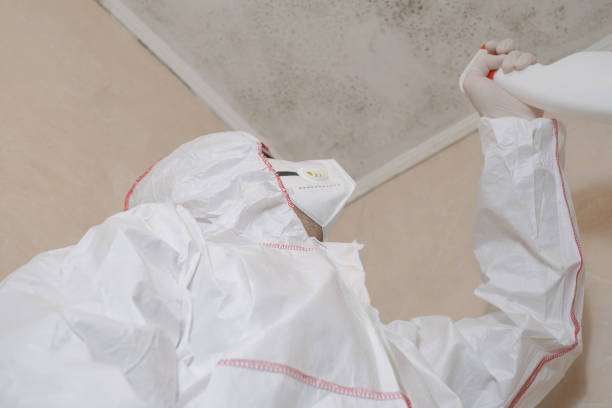 Best Home Mold Removal  in Kenhorst, PA